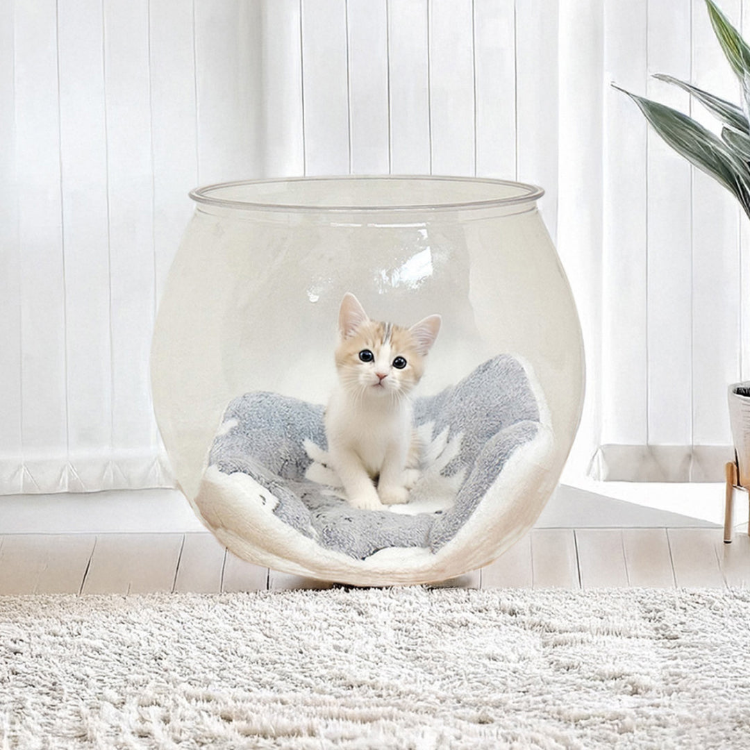 包まれるような安心感をつくる、猫のための金魚鉢型スケルトンボール【