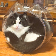 画像をギャラリービューアに読み込む, 猫耳デザインが目を引く、猫のためのPET素材スケルトンボール【クッション付き】
