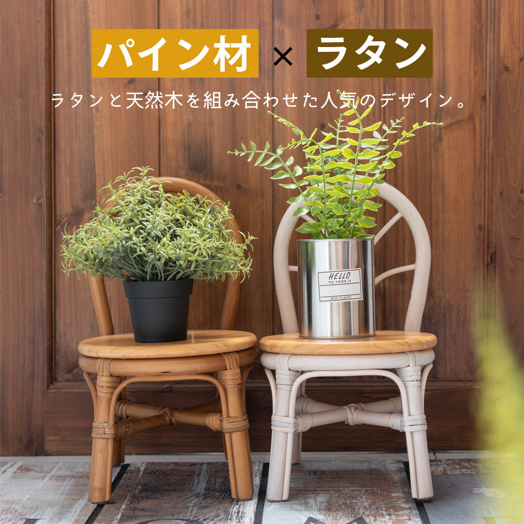ラタンとパイン材のチェア型ミニチュアプランター/WH‐【公式】秋島良品